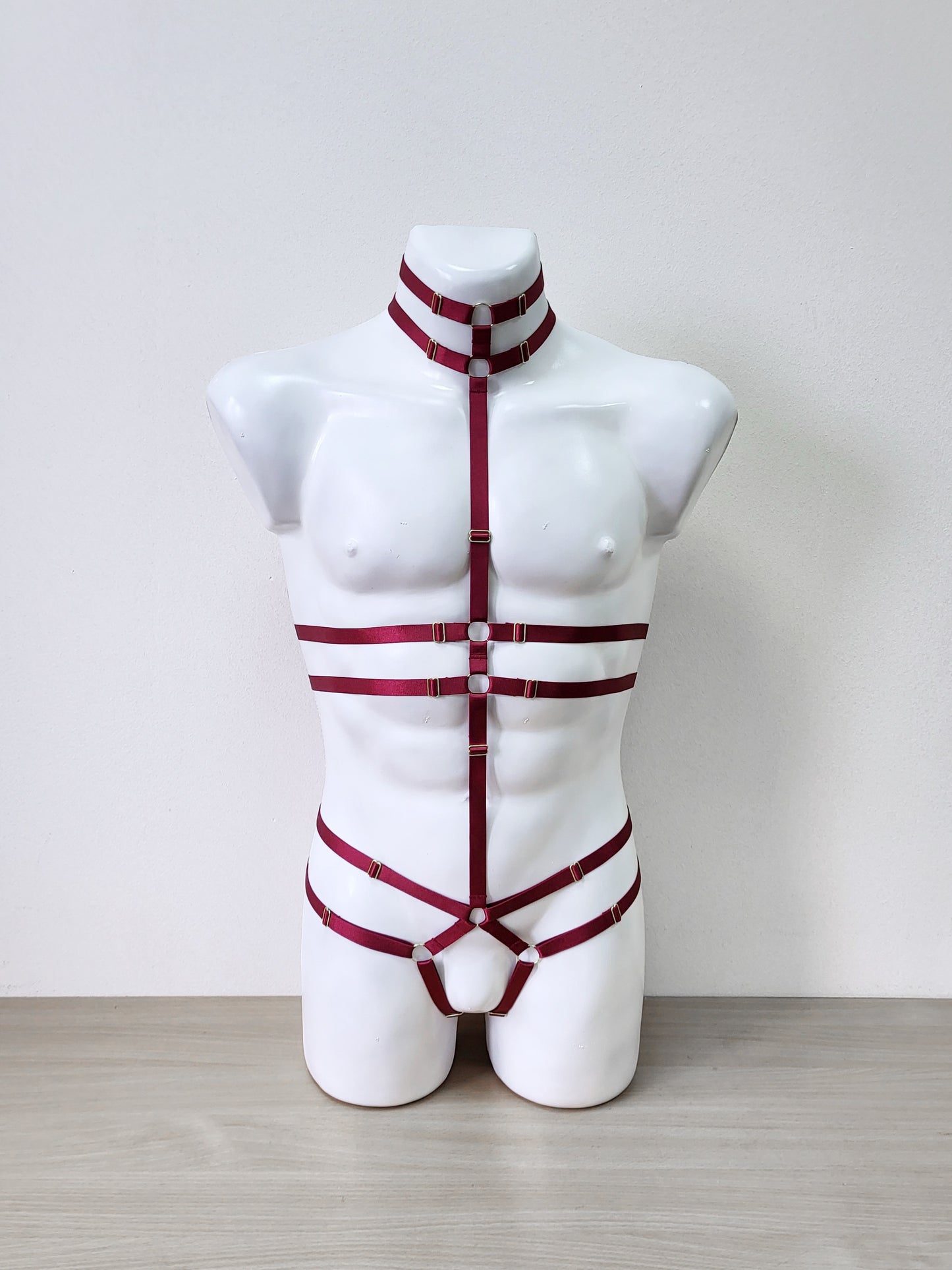 Alaris III men - full body harness bodysuit