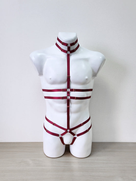 Alaris III men - full body harness bodysuit