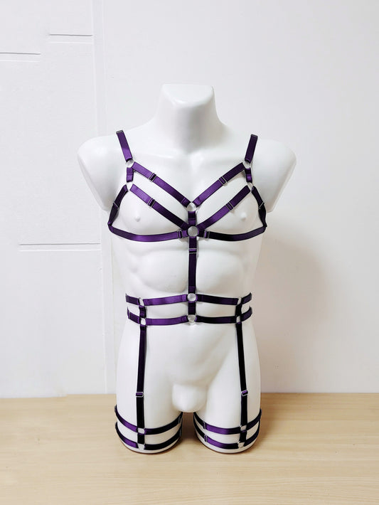 Nemesis men - purple fullbody bondage harness