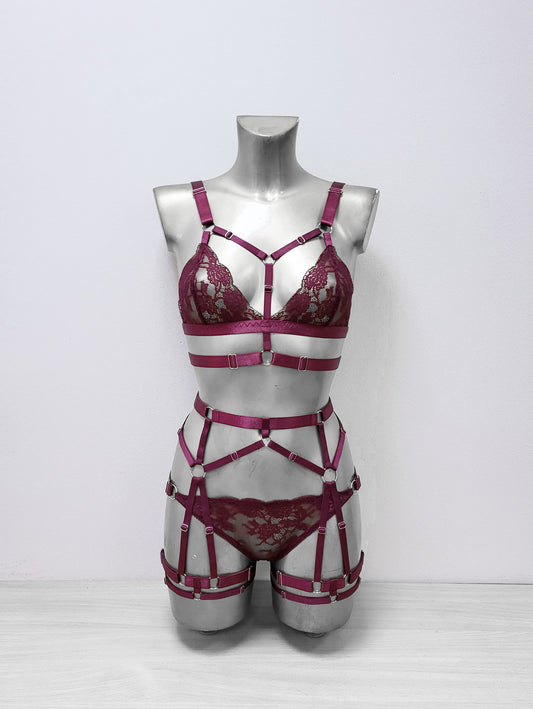 Darla - transparent women lingerie bra and panty set