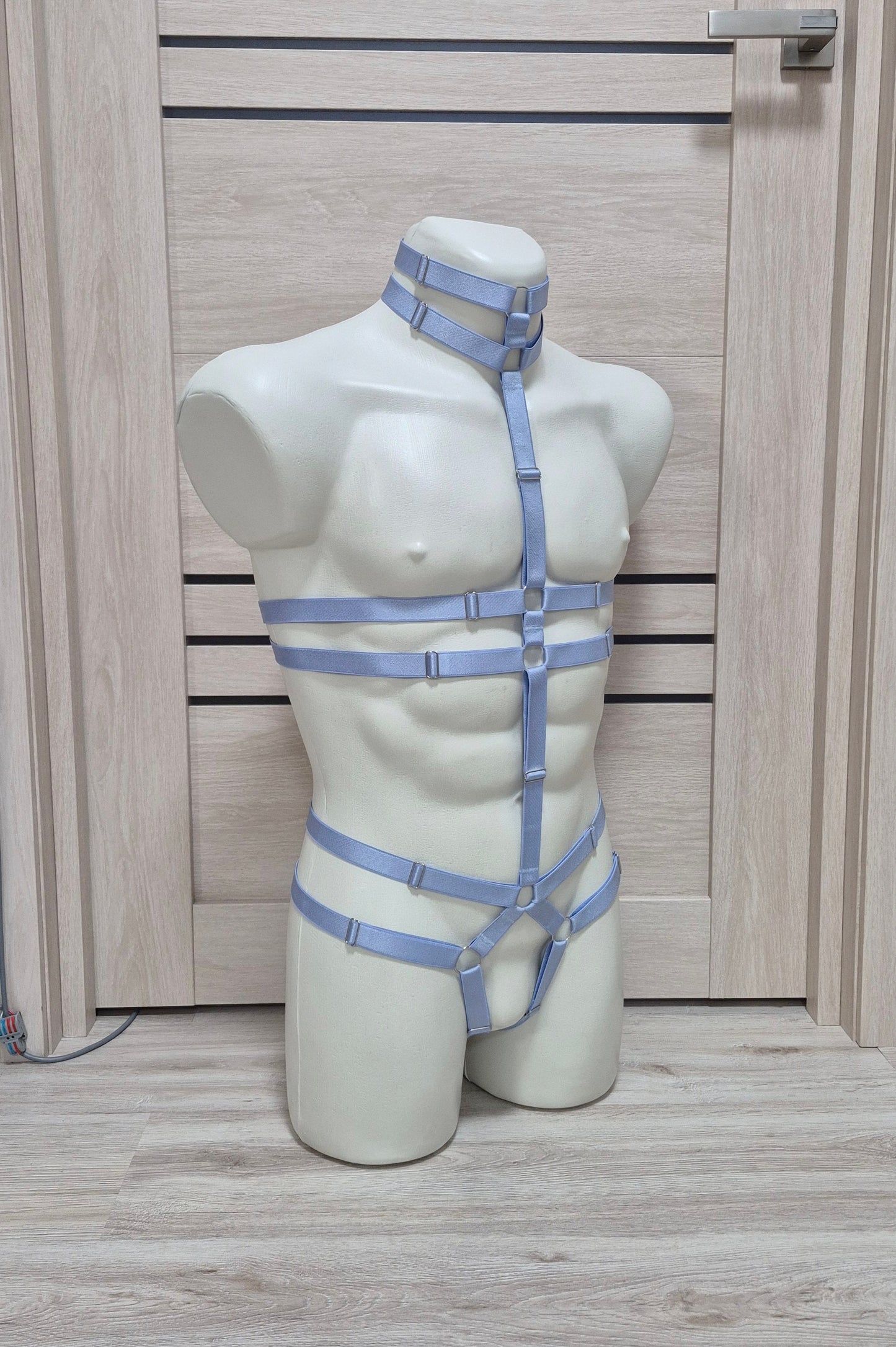 Alaris IV men - light blue full body male harness