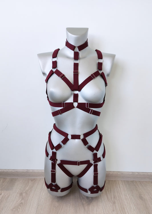 Banshee - transparent women lingerie harness