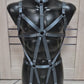 Full body harness for men